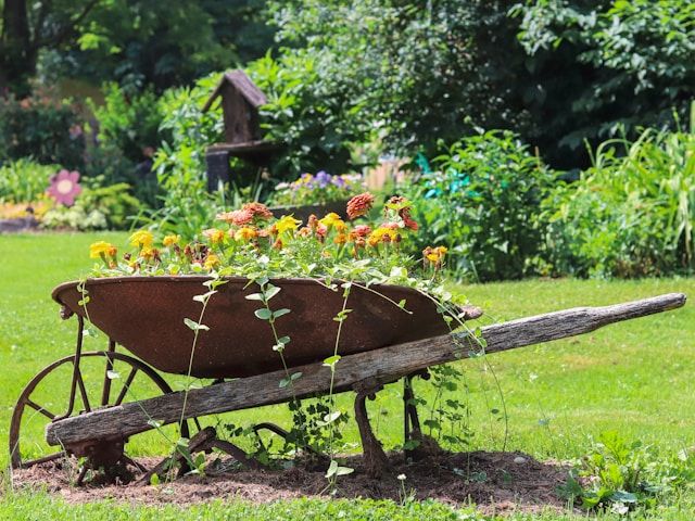 foto-phanatic-xoRgiLzNuEI-unsplash