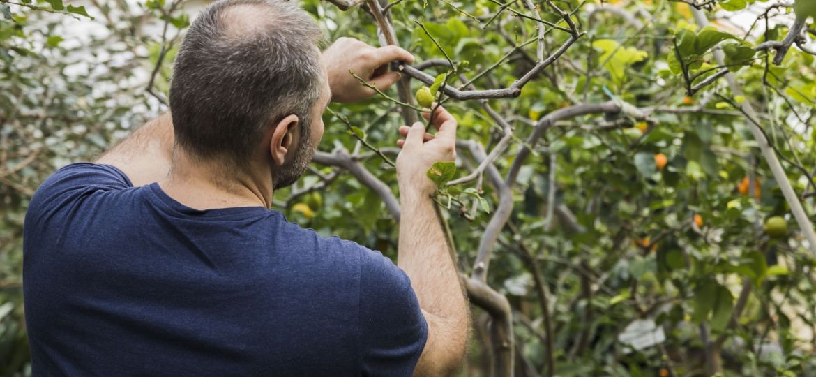 gardening-concept-with-man-planting