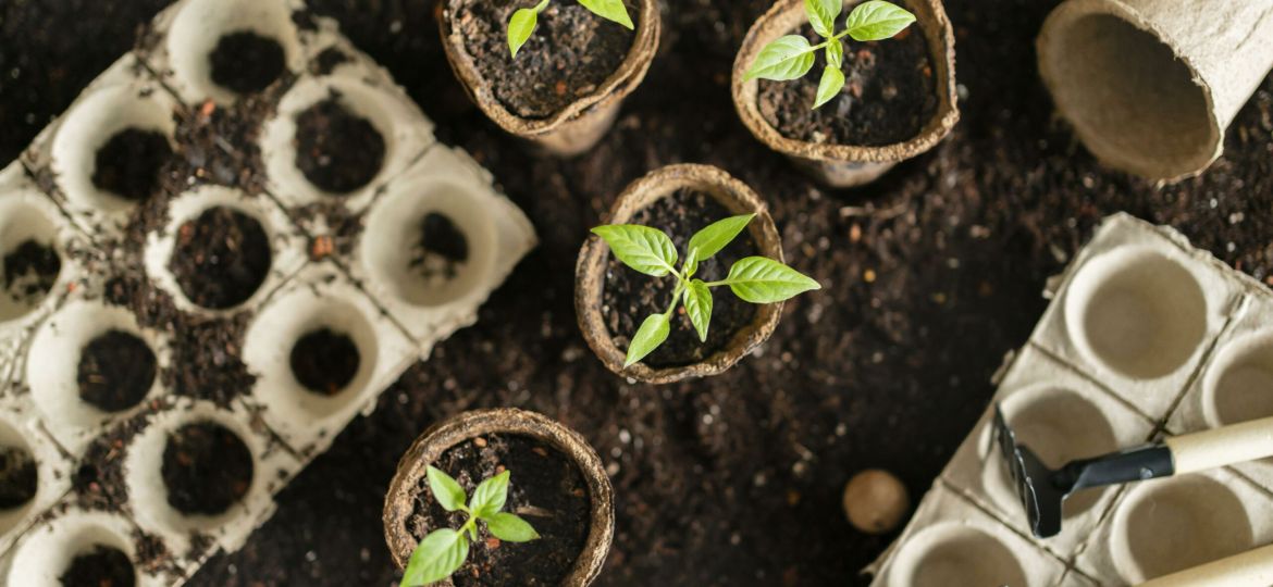 top-view-gardening-tools-flower-pot