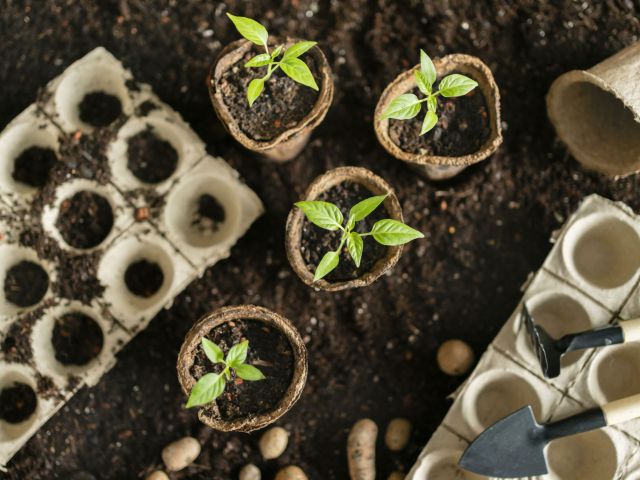 top-view-gardening-tools-flower-pot